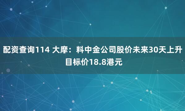 配资查询114 大摩：料中金公司股价未来30天上升 目标价18.8港元