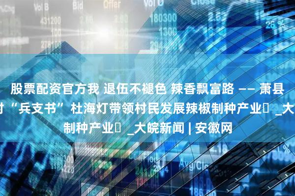 股票配资官方我 退伍不褪色 辣香飘富路 —— 萧县新庄镇马郑庄村 “兵支书” 杜海灯带领村民发展辣椒制种产业​_大皖新闻 | 安徽网
