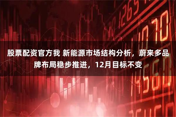 股票配资官方我 新能源市场结构分析，蔚来多品牌布局稳步推进，12月目标不变